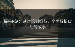 探秘P站：从讨论到细节，全面解析背后的故事