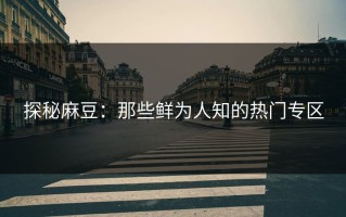 探秘麻豆：那些鲜为人知的热门专区