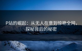 P站的崛起：从无人在意到惊艳全网，探秘背后的秘密