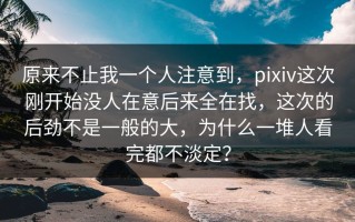 原来不止我一个人注意到，pixiv这次刚开始没人在意后来全在找，这次的后劲不是一般的大，为什么一堆人看完都不淡定？