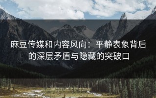 麻豆传媒和内容风向：平静表象背后的深层矛盾与隐藏的突破口