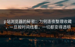 p站浏览器的秘密：为何连夜整理收藏，一旦按时间线看，一切都变得透明