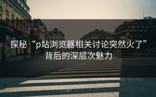 探秘“p站浏览器相关讨论突然火了”背后的深层次魅力