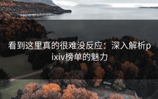 看到这里真的很难没反应：深入解析pixiv榜单的魅力