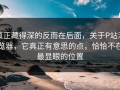 真正藏得深的反而在后面，关于P站浏览器，它真正有意思的点，恰恰不在最显眼的位置
