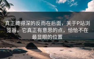 真正藏得深的反而在后面，关于P站浏览器，它真正有意思的点，恰恰不在最显眼的位置