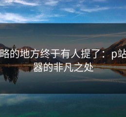 被忽略的地方终于有人提了：p站浏览器的非凡之处