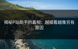 揭秘P站助手的真相：越细看越像另有原因