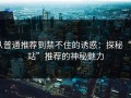 从普通推荐到禁不住的诱惑：探秘“p站”推荐的神秘魅力