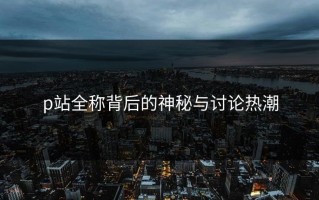 p站全称背后的神秘与讨论热潮