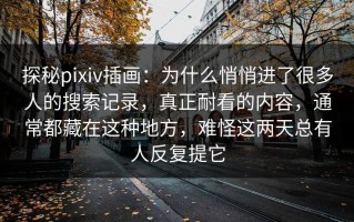 探秘pixiv插画：为什么悄悄进了很多人的搜索记录，真正耐看的内容，通常都藏在这种地方，难怪这两天总有人反复提它