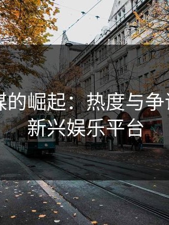 麻豆传媒的崛起：热度与争议并存的新兴娱乐平台