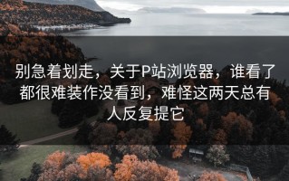 别急着划走，关于P站浏览器，谁看了都很难装作没看到，难怪这两天总有人反复提它