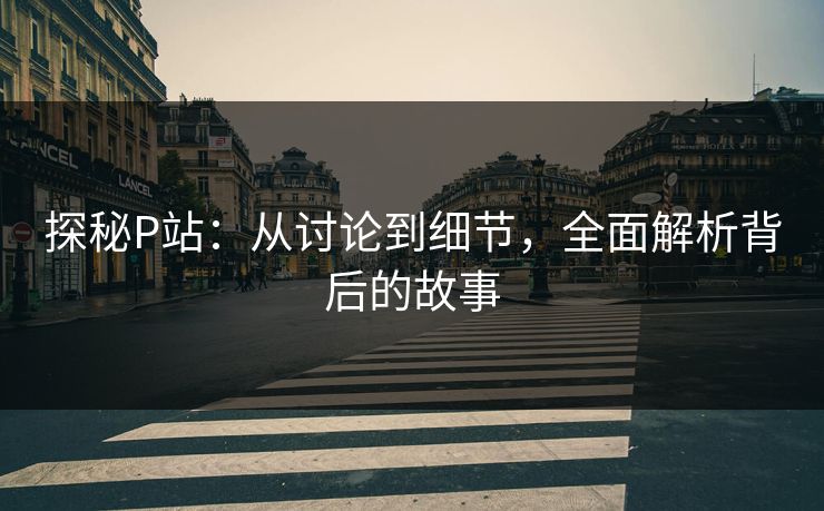 探秘P站：从讨论到细节，全面解析背后的故事-第1张图片-p站助手导航站 | p站搬运工视频库