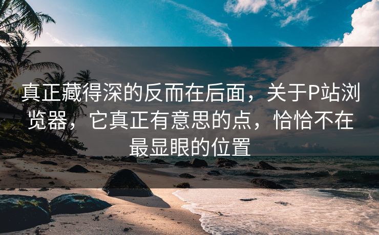 真正藏得深的反而在后面，关于P站浏览器，它真正有意思的点，恰恰不在最显眼的位置-第1张图片-p站助手导航站 | p站搬运工视频库