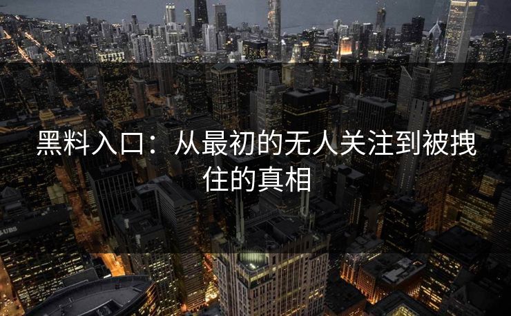 黑料入口：从最初的无人关注到被拽住的真相-第1张图片-p站助手导航站 | p站搬运工视频库